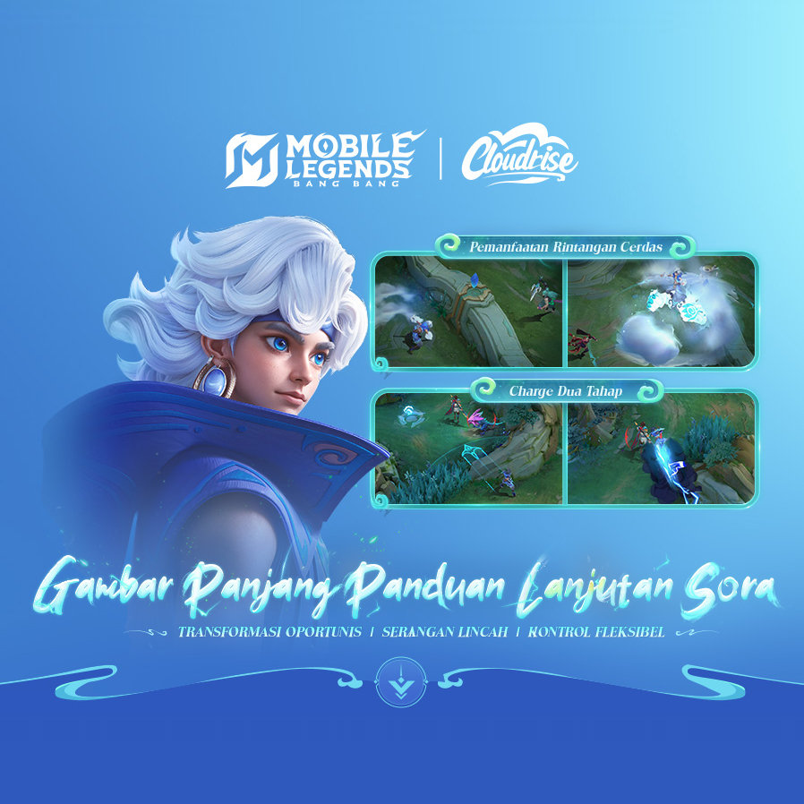 PANDUAN MEMAKAI SORA